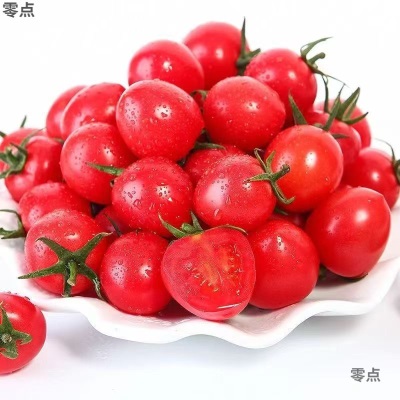 圣女果沙瓤现摘果番茄批发西红柿露天蔬菜新鲜水果整箱樱桃非千禧