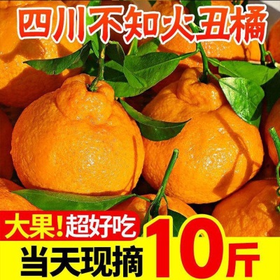 丑橘四川耙耙柑不知火新鲜水果桔子超甜粑粑柑非沃柑批发