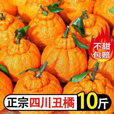 丑橘四川耙耙柑不知火新鲜水果桔子超甜粑粑柑非沃柑批发