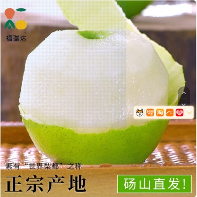 梨都砀山梨子正宗翠冠梨当季水果新鲜9斤皮青梨皇酥梨整箱应香梨