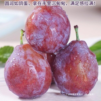 智利西梅新鲜5斤礼盒法兰西脆甜李子进口水果应当季整箱顺丰包邮3