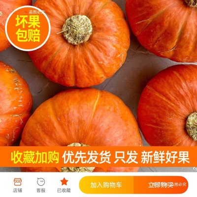 山东南瓜板栗南瓜金丝南瓜红皮金瓜南瓜新鲜贝贝小南瓜味黄圆全年