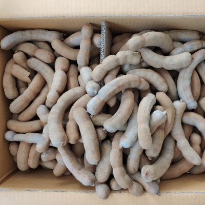 批发20斤新鲜带壳水果甜角甜酸角果铺蜜饯零食罗望子电商直发