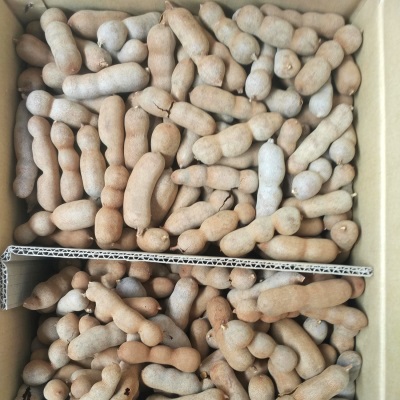 批发20斤新鲜带壳水果甜角甜酸角果铺蜜饯零食罗望子电商直发