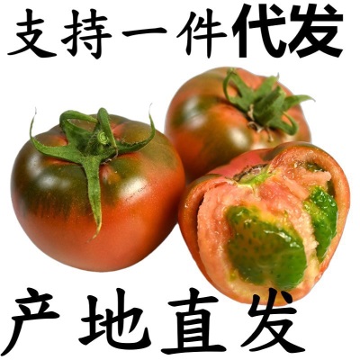 丹东铁皮草莓柿子10斤顺丰包邮蔬菜水果番茄西红柿新鲜碱地红柿子