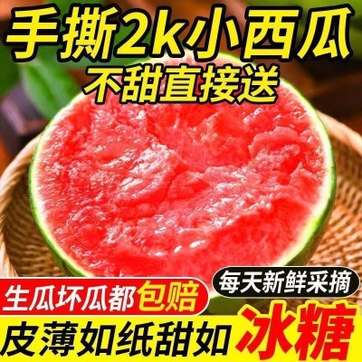 顺丰 正宗山东小糖丸6斤西瓜新鲜水果当应季冰糖西瓜甜瓜多汁包邮
