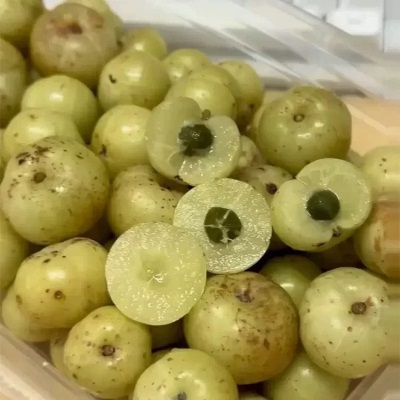 广西油甘果新鲜采摘野生余甘果酸水果当季新牛甘果油柑滇橄榄果