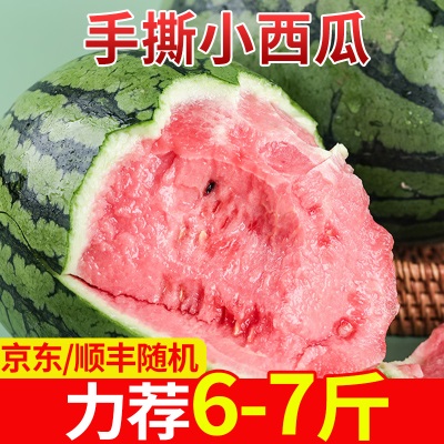 手撕小西瓜产地直发京东顺丰随机发冰淇淋麒麟甜西瓜现摘新鲜水果