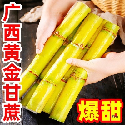 广西甘蔗10斤新鲜应当季孕妇水果脆甜黑黄皮甘蔗产整箱直销