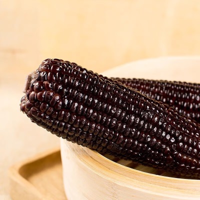 东北黑糯玉米10根包邮新鲜紫黏玉米单棒装即食甜嫩苞米粒真空包邮