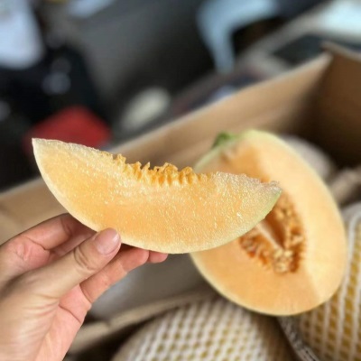 收到恐龙蛋蜜瓜黄金哈密瓜网纹当季新鲜水果金美人蜜瓜9斤装整箱