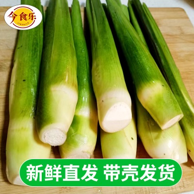 【现摘现发】云南新鲜高山茭白当季农家蔬菜茭瓜月子农家自种