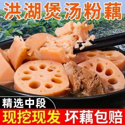 湖北粉藕新鲜莲藕洪湖藕九孔糯米藕煲汤粉藕现挖莲藕批发
