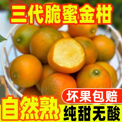 【脆蜜金柑】正宗第三广西融安脆蜜金桔新鲜应季水果立包装