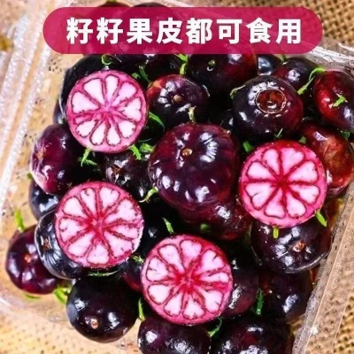 正宗云南红果参罕见新鲜稀有现摘超大果当季蜘蛛果整箱批发价