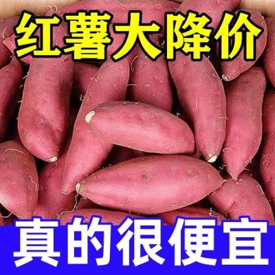 蜜超甜农科院批发番薯糖心产地流油红薯新鲜地瓜直发沙地蜜薯