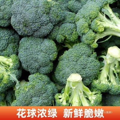 苏北农家现摘西兰花新鲜西蓝花绿青花菜花椰菜脆嫩菜花时令蔬菜