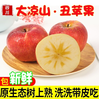 新鲜大凉山丑苹果脆甜冰糖心苹果当季现摘孕妇水果红富士包邮代发