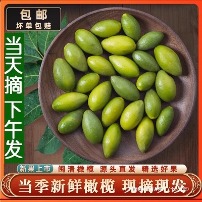 当季橄榄青橄榄檀香生吃福建特产水果500g年橄榄煲汤新鲜包邮