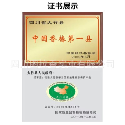 春季新鲜香椿芽食用露天产地采摘一斤装红香椿嫩芽叶供应批发