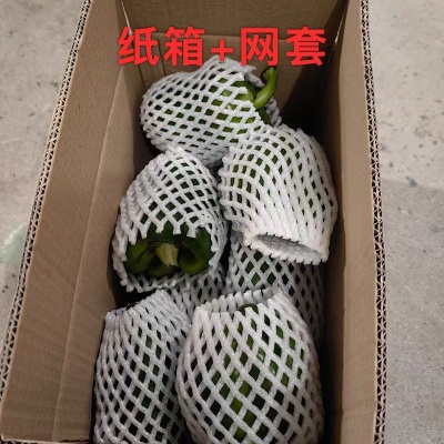 新鲜青椒圆椒甜椒不辣灯笼椒（发货后不退，破损丢件可补发）