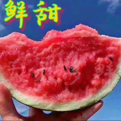 冰糖麒麟西瓜当季新鲜超甜现摘皮薄无籽有籽整箱水果