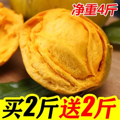 海南鸡蛋果蛋黄果5斤当季热带水果新鲜应季整箱批发产熟果1-3斤