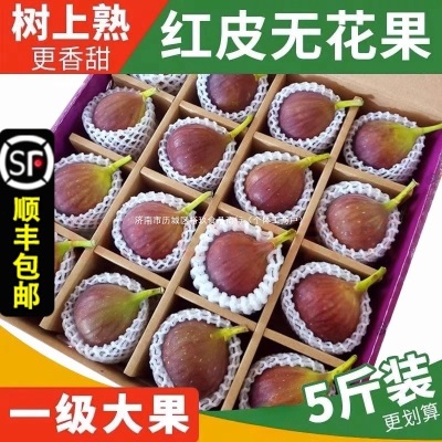 顺丰 新鲜红皮无花果5斤孕妇水果应当季大果青红皮鲜果整箱非威海