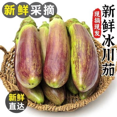 云南冰川茄子新鲜糯茄子脆皮茄子面包茄子新鲜蔬菜酒店烧烤食包邮