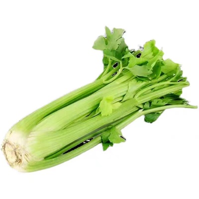 西芹新鲜10斤榨汁山东寿光去叶大芹菜顺丰包邮现砍现发蔬菜脆