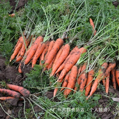 老品种新鲜胡萝卜带泥红萝卜农家宝宝水果蔬菜非转基因拍一单五斤