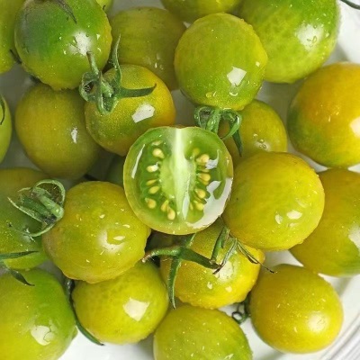 正宗青甜2号小番茄新鲜绿色圣女果现摘现发超甜小西红柿京东代发