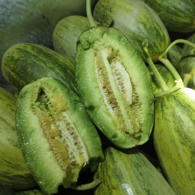山东金冠甜瓜应当季水果蜜瓜整件包邮新鲜甜瓜金冠蜜瓜一件代发