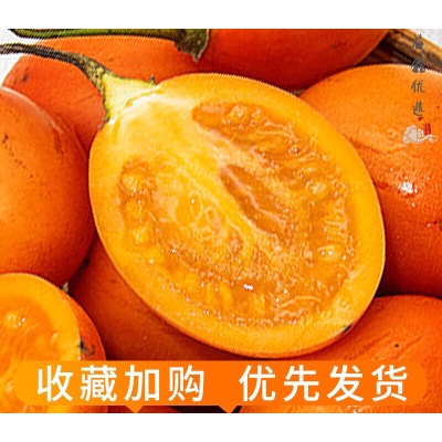 云南保山大树番茄洋酸茄罕见稀有水果当季新鲜水果顺丰包邮