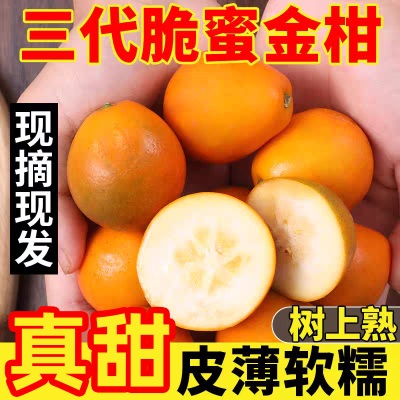 【脆蜜金柑】正宗第三广西融安脆蜜金桔新鲜应季水果立包装
