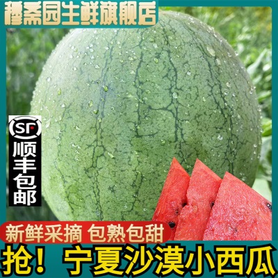 EMS空运宁夏沙漠玲珑小西瓜吊瓜3-5斤包邮新鲜正宗采摘产地直发