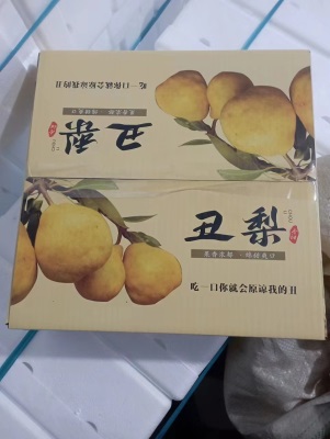 中华丑梨软糯香甜烟台太婆丑梨蜜梨吃的新鲜水果5斤包邮一件代发