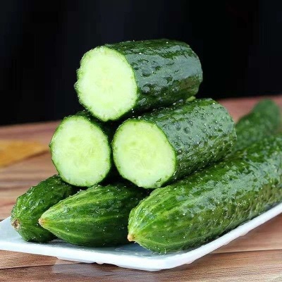 黄瓜现摘现发农家自种应季蔬菜新鲜美味生吃清脆爽口青瓜厂家批发