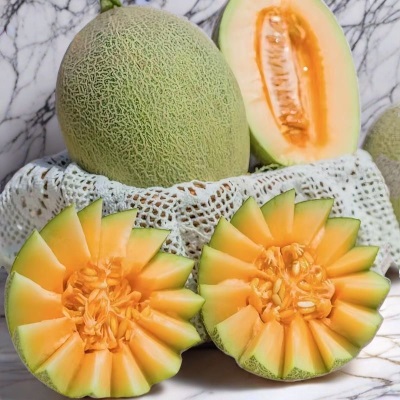 新款哈密瓜爆甜当季新鲜水果网纹瓜玫珑瓜海南哈密瓜厂家批发
