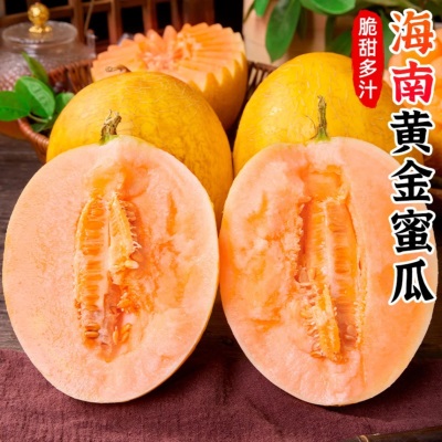 海南黄金蜜瓜黄哈密瓜新鲜当季水果现摘现发产地直发整箱一件代发
