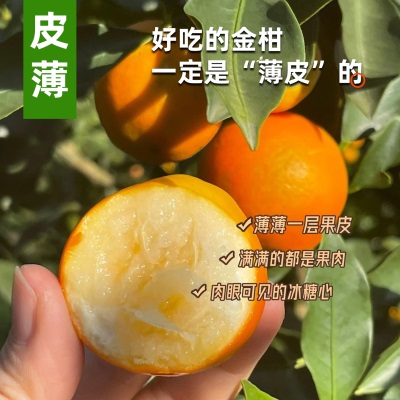 【脆蜜金柑】正宗第三广西融安脆蜜金桔新鲜应季水果立包装