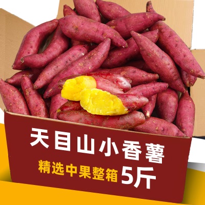 临安天目山小香薯正宗板栗红薯新鲜香甜农家小番薯地瓜蜜薯旗舰店