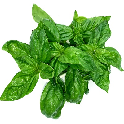 新鲜罗勒叶100g 西餐食用披萨草意大利面调料香料青酱蔬菜