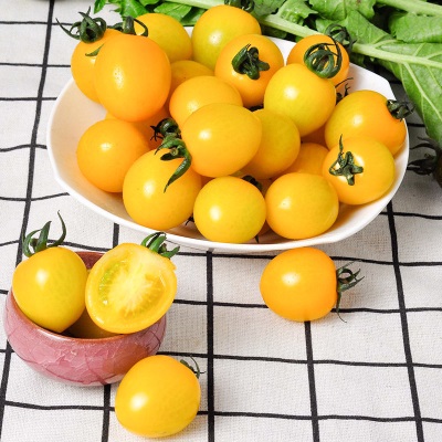 黄色圣女果夏日阳光新鲜番茄自然熟多汁千禧孕妇水果小西红柿包邮