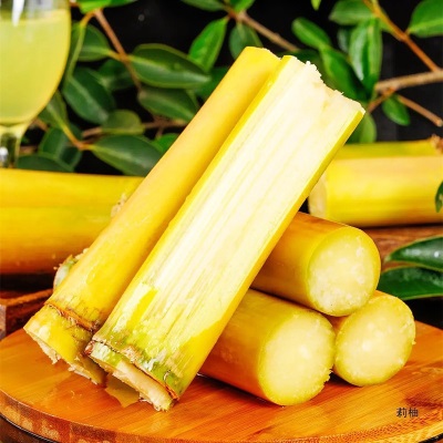 广西甘蔗10斤新鲜应当季孕妇水果脆甜黑黄皮甘蔗产整箱直销