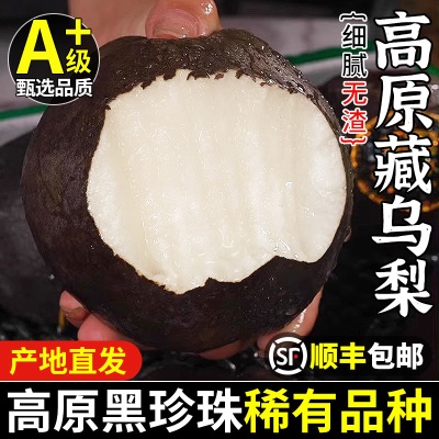 高原大黑梨藏乌梨新鲜梨子当季四川高山脆甜黑皮梨子孕妇水果整箱