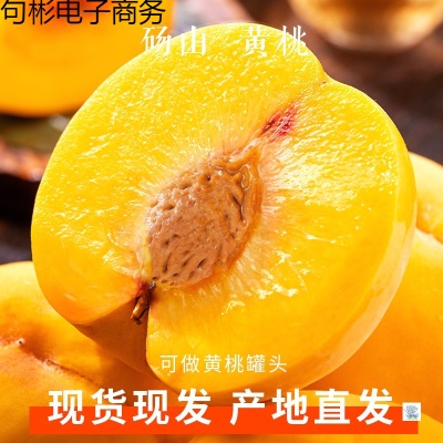 砀山黄桃10斤新鲜水果当季毛桃子整箱应季黄肉脆甜油蜜桃大果包邮
