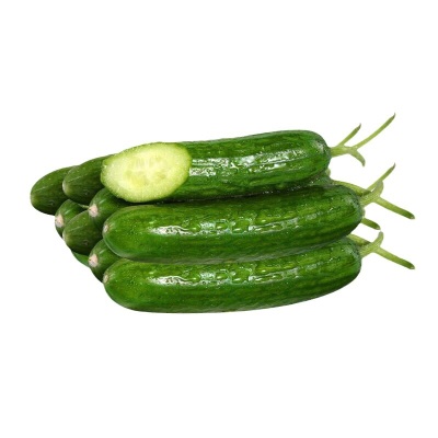 山东无刺水果小黄瓜 新鲜现摘果蔬生吃无刺5斤小青瓜荷兰水果黄瓜