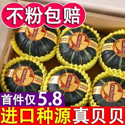 贝贝南瓜正宗新鲜5斤板栗味小南瓜栗面日本老瓜婴儿辅食孕妇粉糯