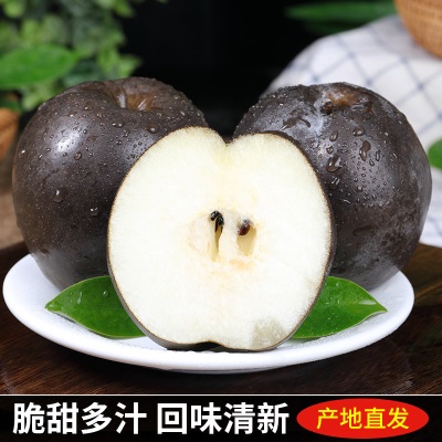 高原大黑梨藏乌梨新鲜梨子当季四川高山脆甜黑皮梨子孕妇水果整箱